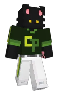 Front of 67_1's skin