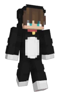Front of R2G4's skin