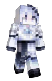 Front of NGHOME's skin