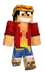 Minecraft skin — Classic model
