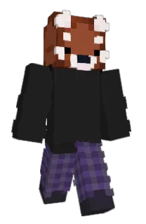 Front of Minecraft skin