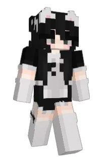 Front of qygn's skin