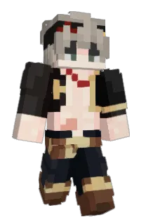 Front of Flarelion's skin