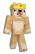 shadydoge