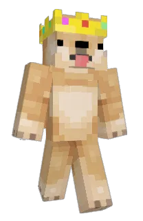 Front of Goldbergg's skin