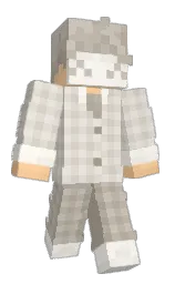 Minecraft skin — Classic model