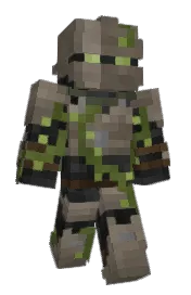 Skin preview