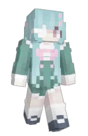 Skin preview