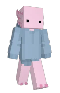 Front of Maxkicker's skin
