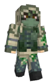 Skin preview