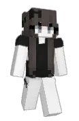 ssaar