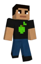 Skin preview