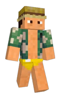 Front of Pollart's skin