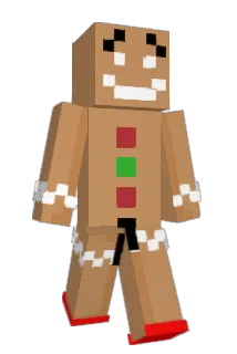1craig2 Minecraft avatar full body