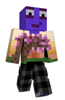Front of Minecraft skin