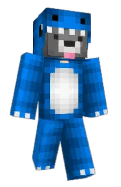 Skin preview