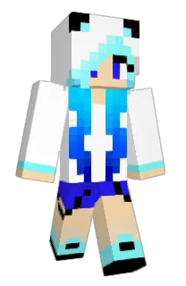 Front of busto's skin