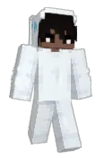 straysav
