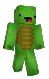 Minecraft skin — Classic model