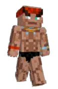 pellle2