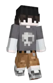 Skin preview