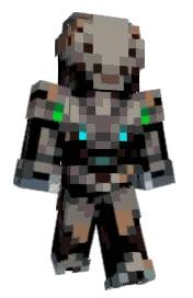 Skin preview