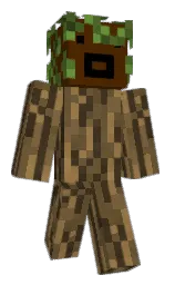 Minecraft skin — Classic model