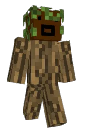 Skin preview