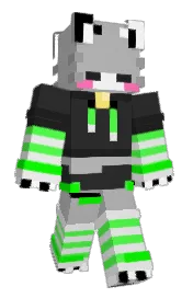 Skin preview