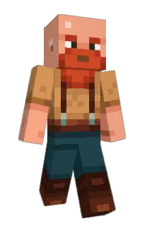 Front of CC13XLR's skin