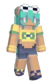 Skin preview
