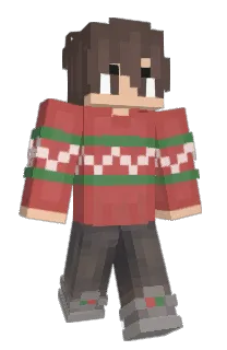 Front of Descriptor's skin
