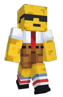 Front of Animiate's skin