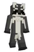 AstroRaccoon