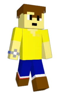 Front of fottery's skin