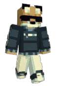 DrFox69