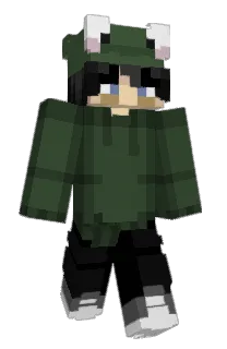 Front of frroq's skin