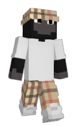Slim Minecraft skin