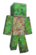StepTortuga
