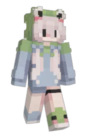 Skin preview