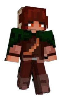 Front of muzhroom's skin