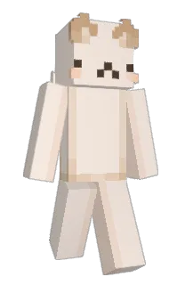 Front of LynnYae's skin