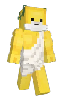 Front of 21z21's skin