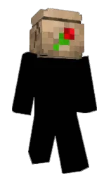 Classic Minecraft skin