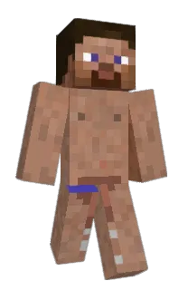 j4nismc's Minecraft skin