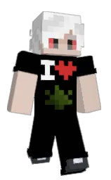 Minecraft skin — Classic model