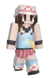 Skin preview