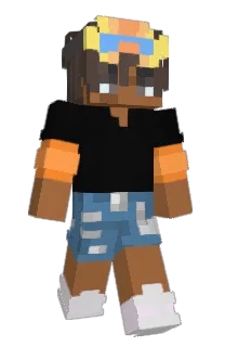 Front of TaxTime's skin
