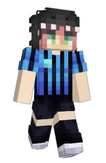 Front of Profess1onal's skin