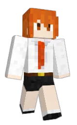 karry and white Minecraft skin — Classic model